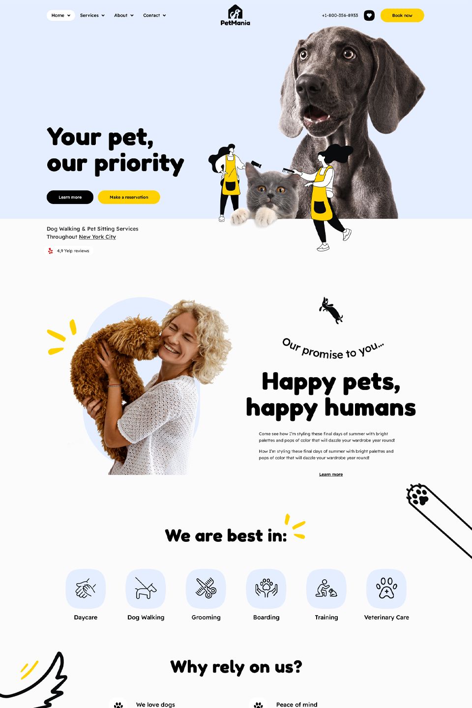 Web design, app interface